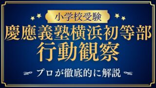 【慶應義塾横浜初等部】行動観察テストとは？特徴とご家庭でできる対策