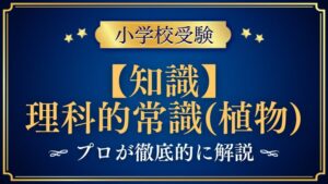 【小学校受験】理科的常識（植物）｜出題内容や解き方をプロが解説！