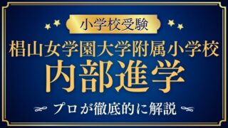 【​​​​椙山女学園大学附属小学校】進学実績は？エスカレーターの条件と卒業後の進学先を徹底解説