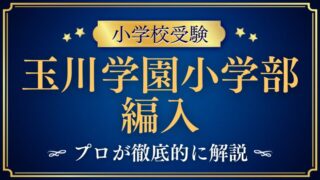 【玉川学園小学部】編入試験はいつ！？募集要項から紐解く試験内容を解説