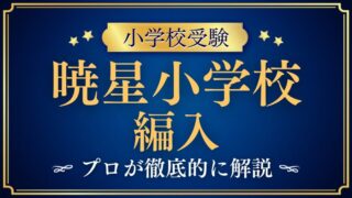 【暁星小学校】編入はできる？募集の有無・試験内容・注意点を徹底解説！