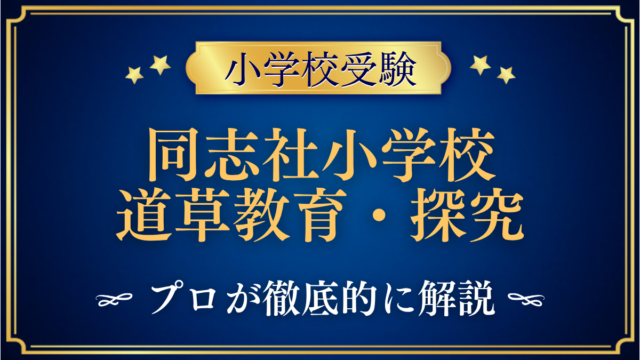 同志社小学校 道草教育・探究