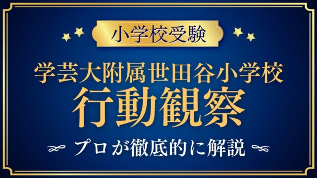 東京学芸大学附属世田谷小学校 行動観察