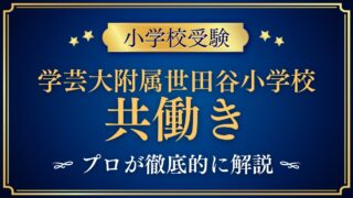 東京学芸大学附属世田谷小学校 共働き