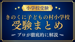 【きのくに子どもの村小学校】受験情報まとめ|入学の流れ・教育の特色をプロが解説