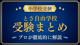 【とさ自由学校】受験情報まとめ|入学検定・学費・教育の特色をプロが解説