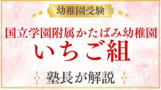 【国立学園附属かたばみ幼稚園】いちご組｜2歳児クラスの内容・参加方法・受験への活かし方