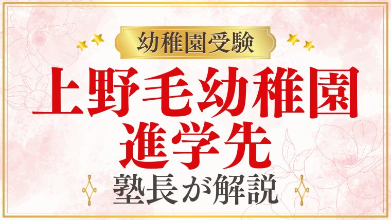 【上野毛幼稚園】進学先｜卒園後の小学校・進学実績を解説