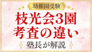 枝光会3園 考査の違い