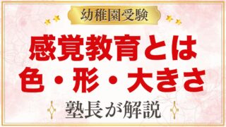 モンテッソーリの感覚教育とは？色・形・大きさを家庭で
